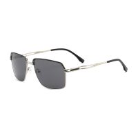 C2 Shiny Silver / Black