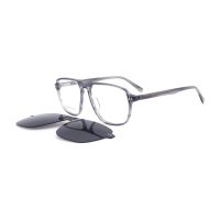 C2 Gray / Tortoise.