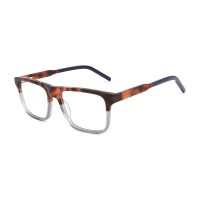 C2 Tortoise Grey