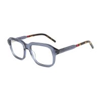C3 Blue Tortoise