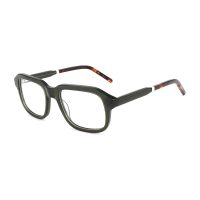 C4 Green Tortoise
