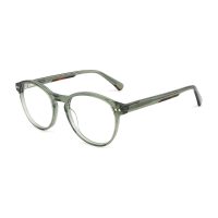 C4 Green Tortoise