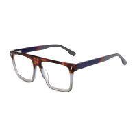 C2 Tortoise Grey