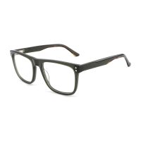 C4 Green Tortoise