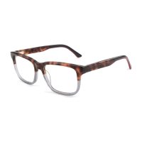 C2 Tortoise Gray Red