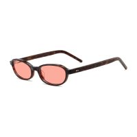 C2 Shiny Tortoise / Orange
